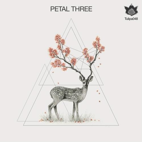 image cover: VA - Petal Three [TULIPA048]