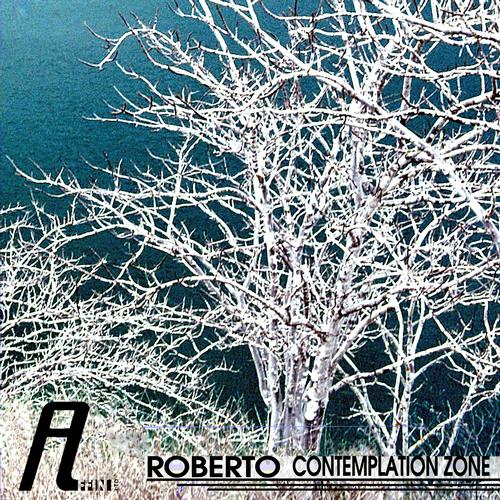 image cover: Roberto - Contemplation Zone [AFFIN138]
