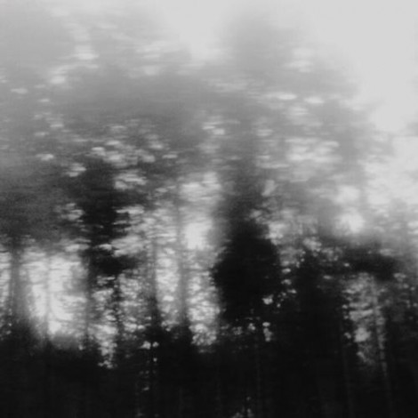 Shifted - The Cold Light