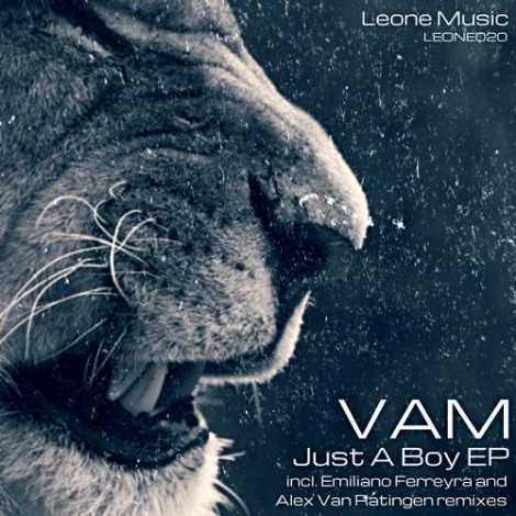 VAM - Just A Boy