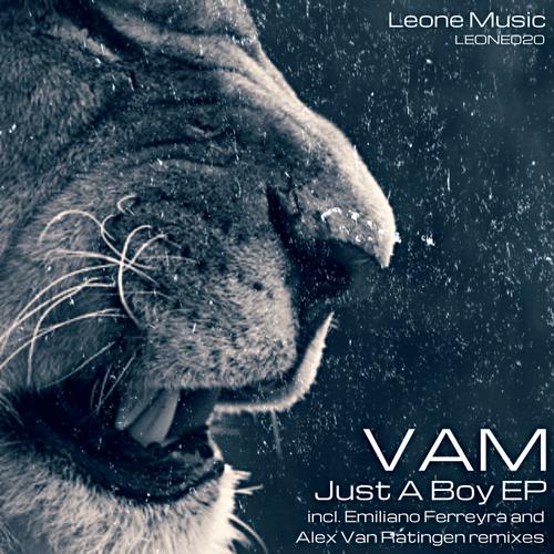 image cover: VAM - Just A Boy [LEONE020]