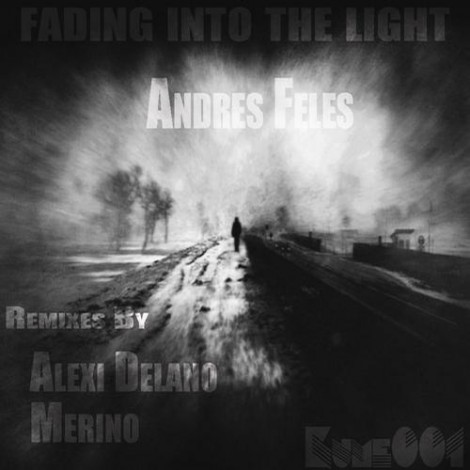 Andres Feles - Fading Into The Light