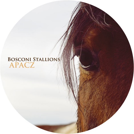 image cover: Bosconi Stallions - APACZ (PROMO) [BOSCO022]