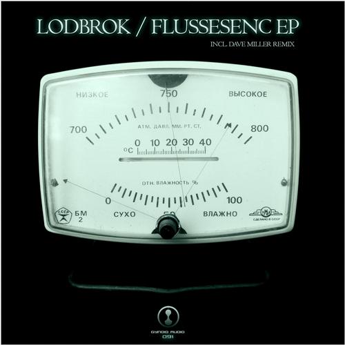 image cover: Lodbrok - Flussesenc EP [GYNOIDD091]