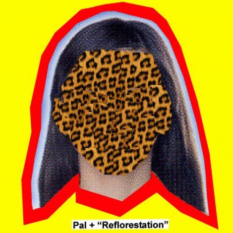 Pal + - Reflorestation