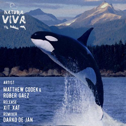 image cover: Rober Gaez, Matthew Codek - Xit Xat [NAT122]