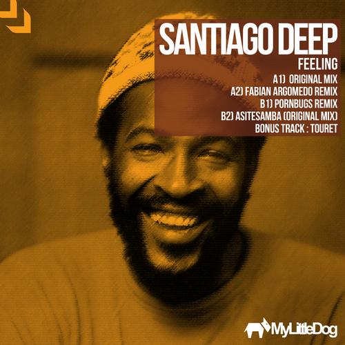 image cover: Santiago Deep - Feeling [MLD031]