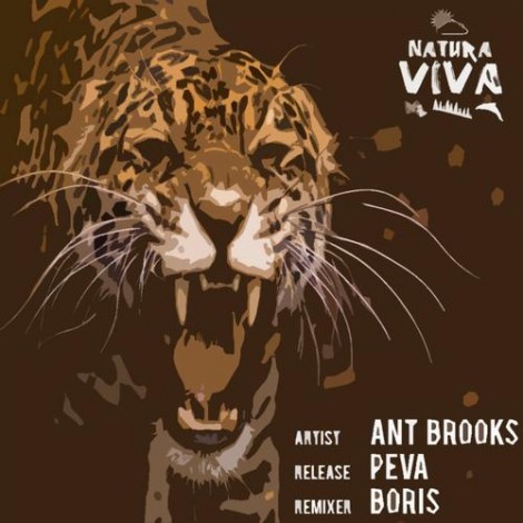 000-Ant Brooks-Peva- [NAT128]