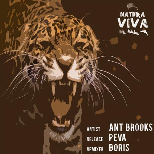 image cover: Ant Brooks - Peva [NAT128]