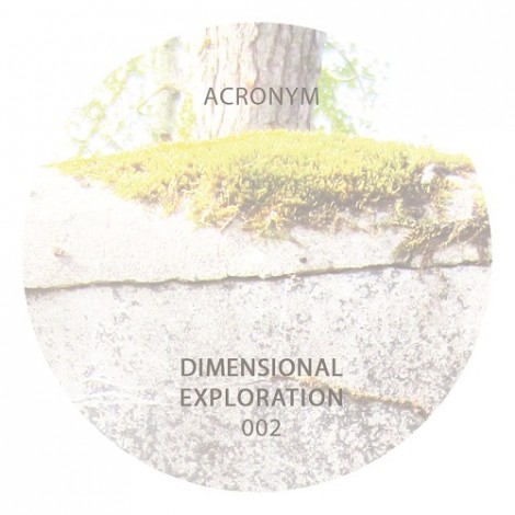 Acronym – Dimension Exploration 002 [VINYLDIM002]