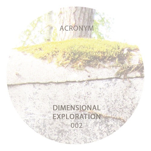 image cover: Acronym - Dimension Exploration 002 [VINYLDIM002]