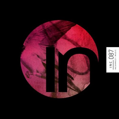 Audio Junkies, Cari Golden, Bambook – Bird On A Wire [INC087]
