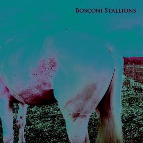 VA – Bosconi Stallions Compilation – Celebrating 5 Years Of Bosconi Records [BOSCOBOX001]