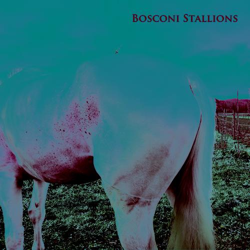image cover: VA - Bosconi Stallions Compilation - Celebrating 5 Years Of Bosconi Records [BOSCOBOX001]