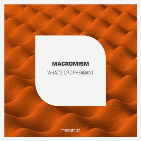 Macromism - What'Z Up / Pheasant