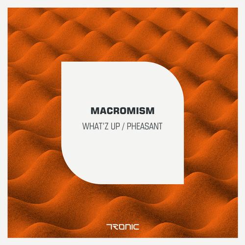 image cover: Macromism - What'Z Up / Pheasant [TR113]