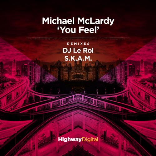 image cover: Michael Mclardy - You Feel [HWD42034]