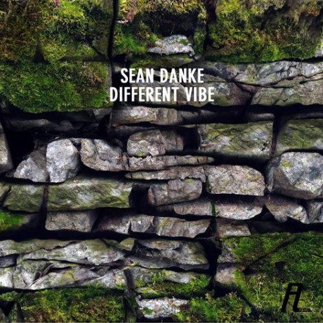 Sean Danke – Different Vibe [AFFIN140]