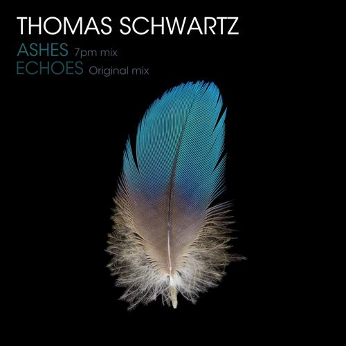 image cover: Thomas Schwartz & Fausto Fanizza - Echoes / Ashes [TWL05]