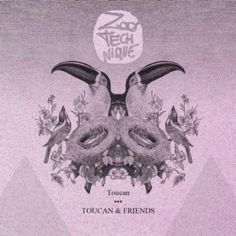 Toucan - Toucan & Friends