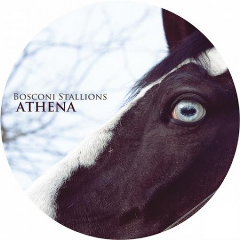 VA - Bosconi Stallions - Athena