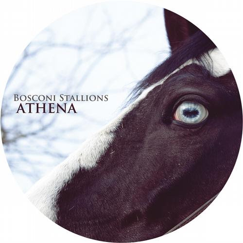 image cover: VA - Bosconi Stallions - Athena [BOSCO025]
