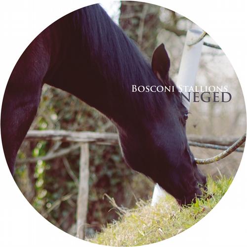 image cover: VA - Bosconi Stallions - Neged [BOSCO023]