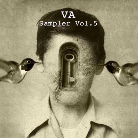 VA - Sampler Vol.5