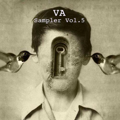 image cover: VA - Sampler Vol.5 [SAFNUM030]