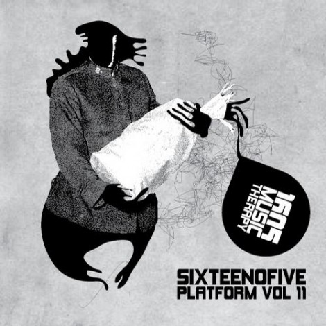 VA - Sixteenofive Platform Vol 11