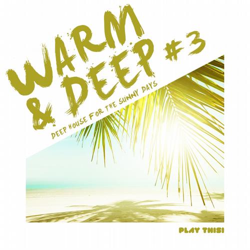 image cover: VA - Warm & Deep #3 - Deep House for the Sunny Days [PTCOMP255]