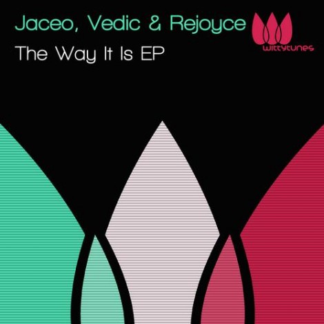 00-Jaceo Rejoyce Vedic-The Way It Is Ep- [WT130]