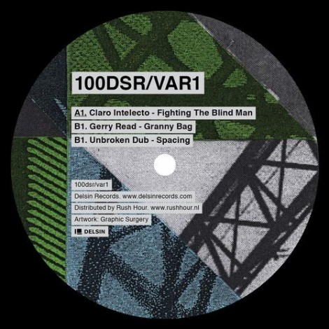 VA – Delsin Records [100DSRVAR1]