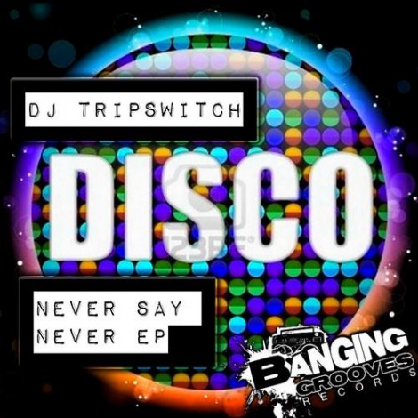000-DJ Tripswitch-Never Say Never EP- [BGR153]