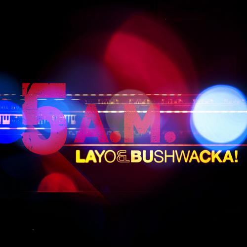 image cover: Layo & Bushwacka! - 5AM [OLMETO040]