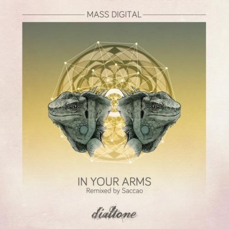 000-Mass Digital-In Your Arms- [DT082]