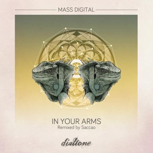 image cover: Mass Digital - In Your Arms [DT082]