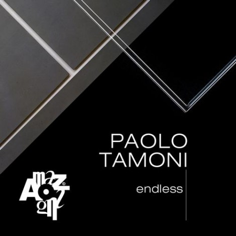 000-Paolo Tamoni-Endless- [AMZ102]