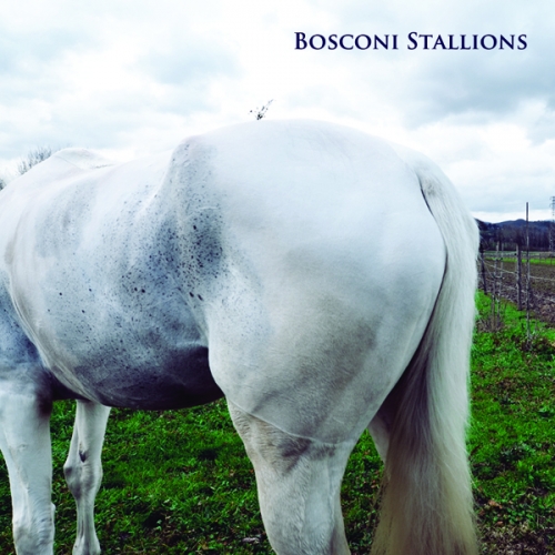 image cover: VA - Bosconi Stallions Compilation Celebrating 5 Years Of Bosconi Records [BOSCOBOX001]