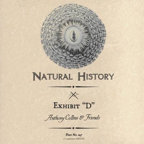 Anthony Collins & Friends – Exhibit “D” [NHEX004]