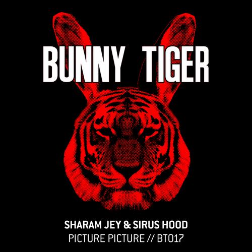 image cover: Sharam Jey, Sirus Hood - Picture Picture [BT017]