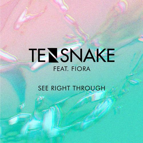 image cover: Tensnake - See Right Through (Mano Le Tough Remix) [00602537498932]