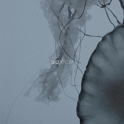 000-SeQ-XTC EP- [FRUCHT058]