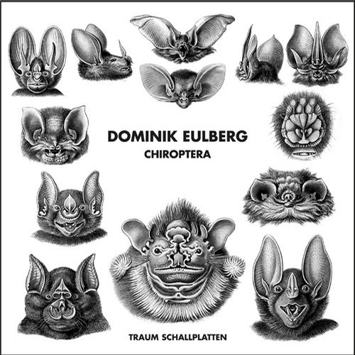image cover: Dominik Eulberg - Chiroptera [RAUMV167]