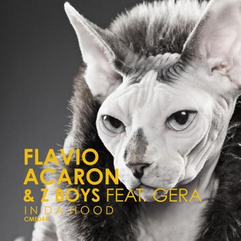 Flavio Acaron & Z Boys feat Gera – In Da Hood