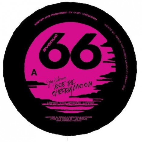 Joey Anderson – Above the Cherry Moon (Vakula remix) [AVE6601]