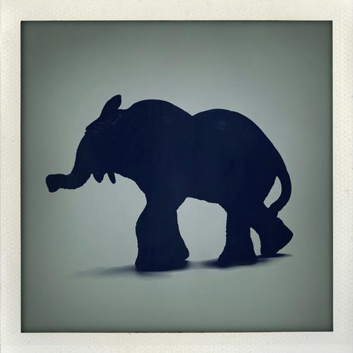 image cover: Kai Kurve, Oddvar - Elephant