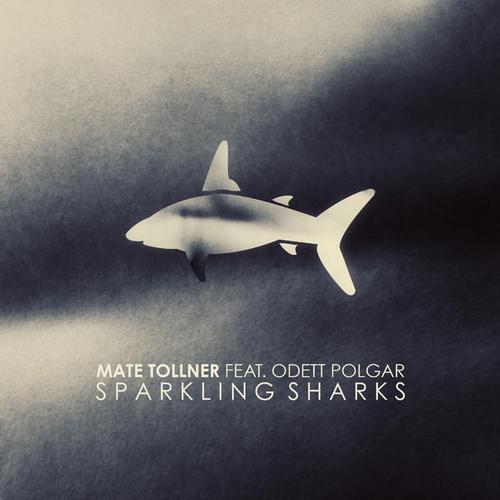 Mate Tollner - Sparkling Sharks