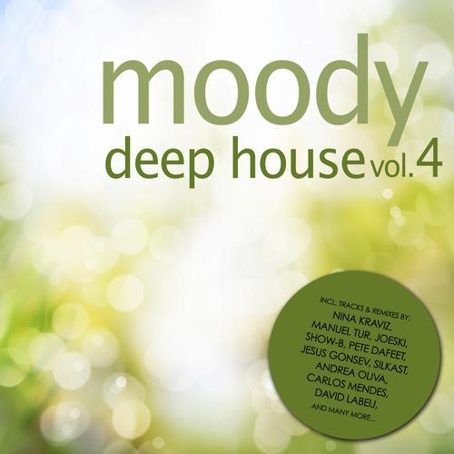 VA - Moody Deep House Vol. 4