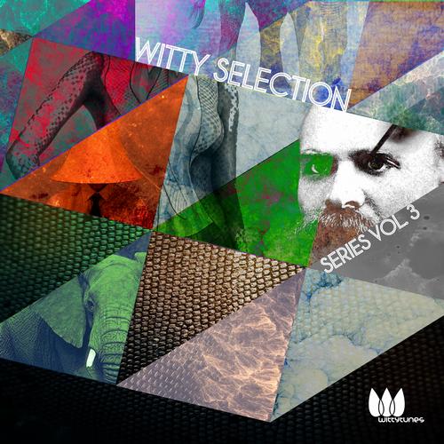 image cover: VA - Witty Selection Series Vol. 3